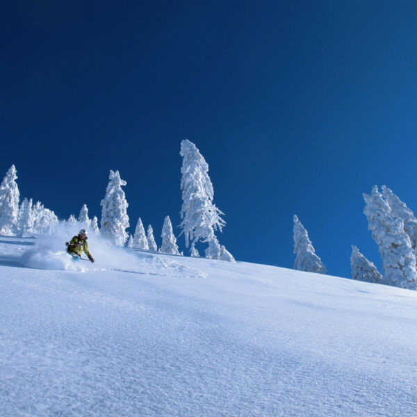 Freeride ein Tag