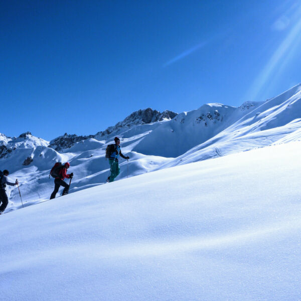 Skitouren Matscher Tal